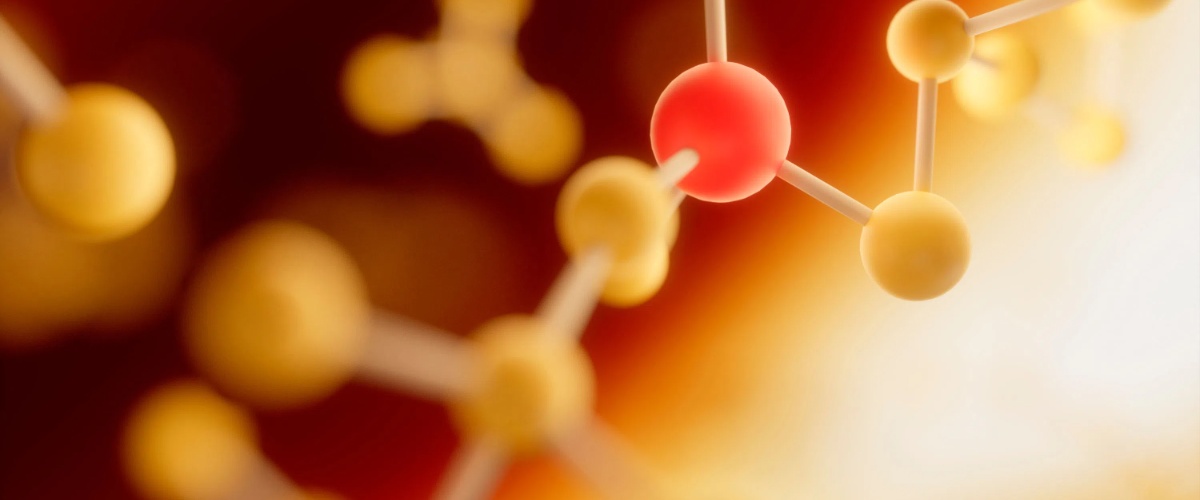 Fournisseur de trichlorhydrate de spermidine4