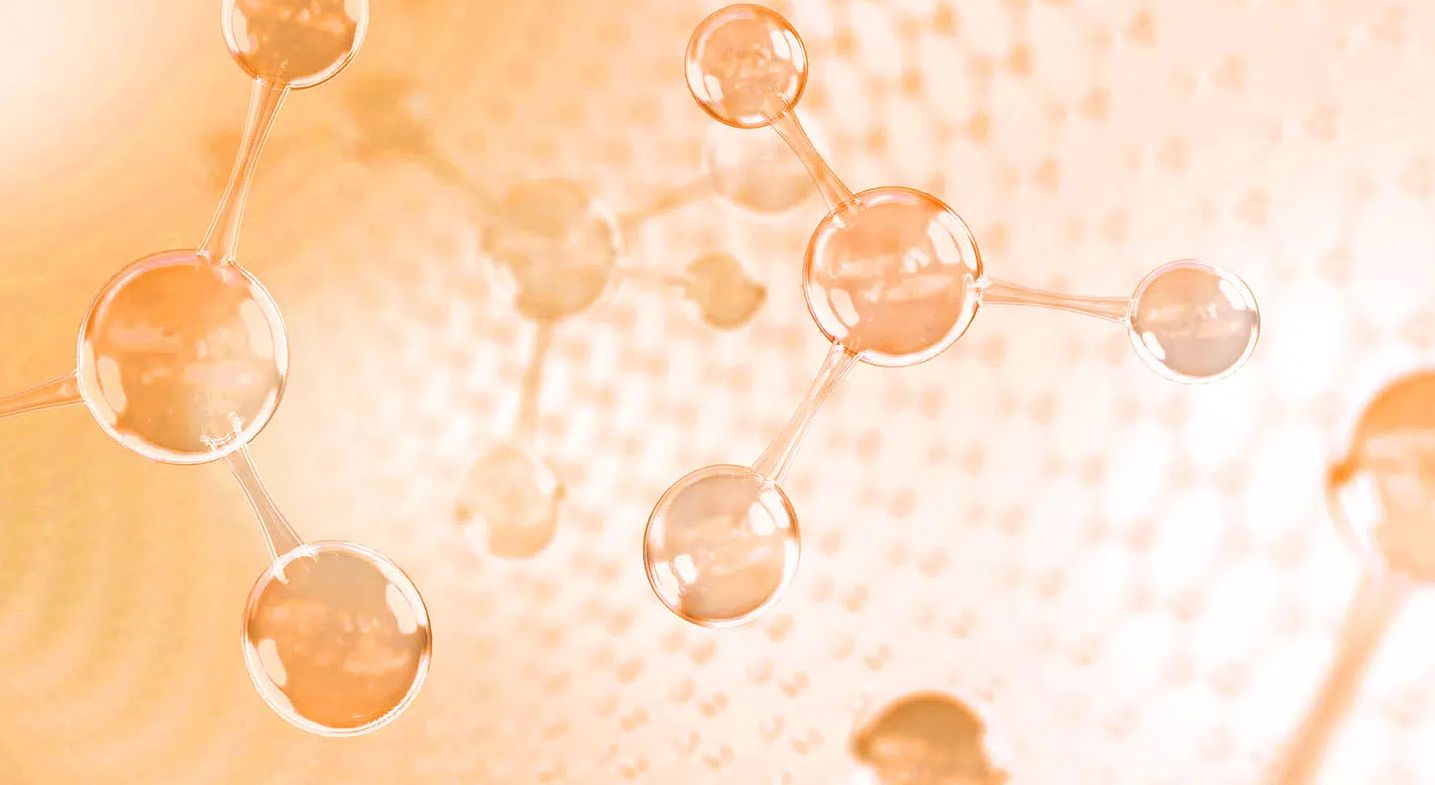 What are the effects of exogenous hydroketone bodies (1)