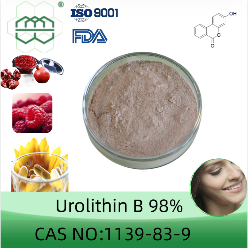 Anti-Aging 99% CAS 1143-70-0 Urolithin A Powder