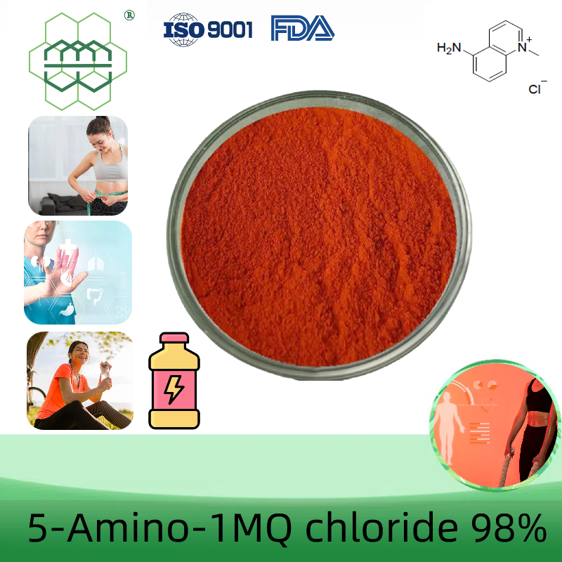 aod9604 visceral fat The Powerful Benefits of 5-Amino-1MQ for
