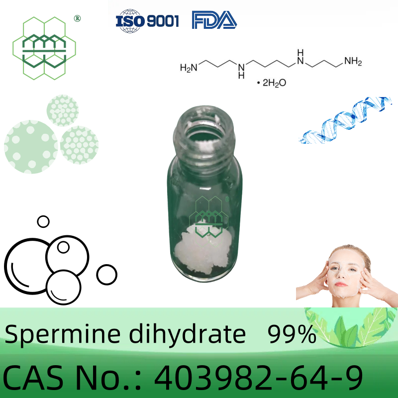 spermine dihydrate