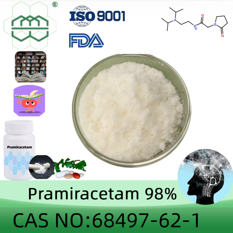 High Quality Pramiracetam powder manufacturer CAS No.: 68497-62-1 98% ...